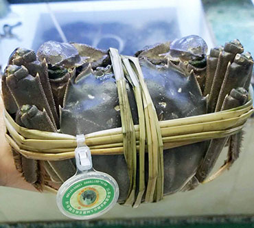 中秋節為何送大閘蟹